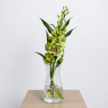 Green Dendrobium Orchid Bouquet