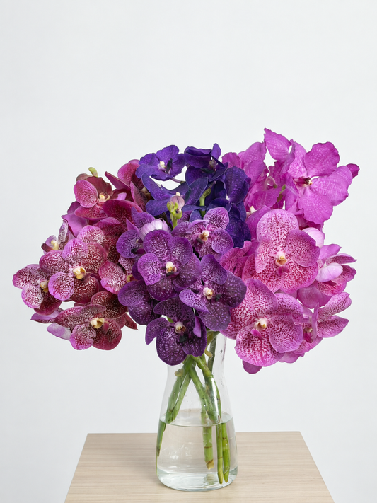 Vanda (1 stem)