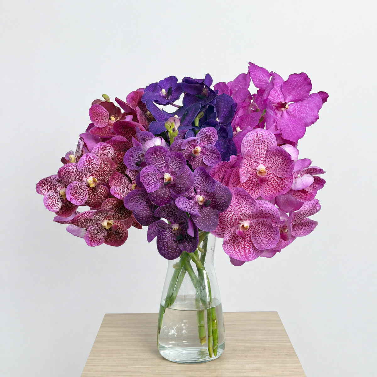 Vanda (1 stem)