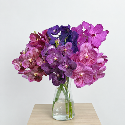 Vanda (1 stem)