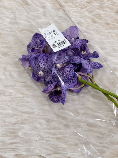 Vanda (1 stem) (Grower's Choice)